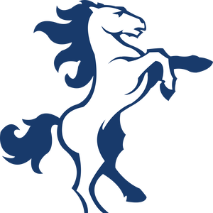 Team Page: McMasters Elementary